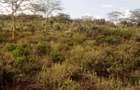 1 ac Land at Mai Mahiu - 6