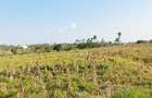 Land in Kilifi - 3