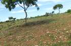 10,000 ft² Land at Vipingo - 9