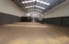 6,000 ft² Warehouse with Backup Generator in Kiambu Road - 8