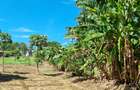 3 ac Land at Mtwapa - 8