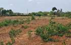 Land in Kilifi - 5