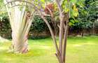 Furnished 2 Bed Apartment with En Suite at Kilimani - 1