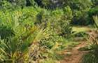 Land at Tiwi Near Diani South Coast - 8