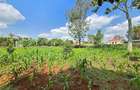 Residential Land in Runda - 1