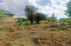 1,000 m² Residential Land at Riu-Nderi - 12