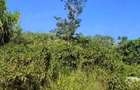 Residential Land at Runda Paradise - 4