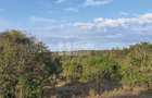 10 ac Land in Nanyuki - 1