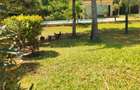 4 Bed House with En Suite in Shanzu - 5