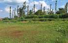 0.25 ac Commercial Land at Ngecha - 5