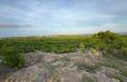 0.045 ha Land at Mayungu - 10