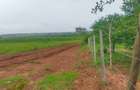 21 ac Land at Mavueni Mariakani Northern By - Pass Road - 12