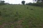 0.25 ac Land in Ongata Rongai - 12