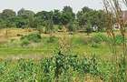 Land in Thika - 2