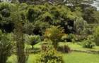3 Bed Villa with Garden in Kiambu Road - 11