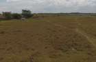 3.5 ac Land at Opposite Pj Dave - 2
