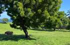 2 ac Land at Kilifi Bofa Beach - 8