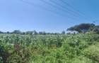 5 ac Commercial Land at Lower Kabete - 13