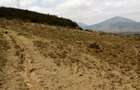 5.5 ac Land at Mai Mahiu - 1