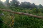 1.25 ac Land in Lavington - 6