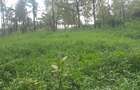 Land at Kibiko Ngong - 11