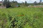 1,000 m² Land in Kikuyu Town - 6