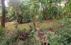 2 ac Land in Karen Hardy - 3