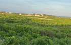 0.125 ac Land at Mayungu - 2