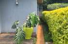 3 Bed Townhouse with En Suite at Ibis Crescent - 3