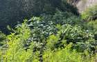 0.725 ac Residential Land in General Mathenge - 4