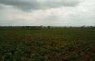 Land at Nanyuki-Rumuruti Rd - 5