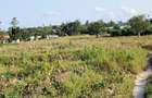 Land in Kilifi - 16