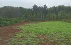 0.5 ac Residential Land in Redhill - 4