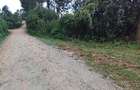 Land in Kikuyu Town - 4