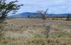 2 ac Land in Nanyuki - 2