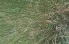 Residential Land at Riverside - 2