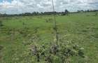 0.1 ha Residential Land in Ongata Rongai - 14