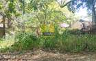 Commercial Property in Westlands Area - 9