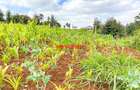 0.05 ha Land in Limuru - 3