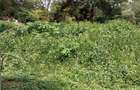 2 ac Land at Kyuna - 4