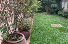 5 Bed House with En Suite in Ngong - 4