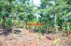 0.1 ha Residential Land at Thamanda - 9