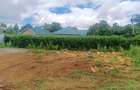 500 m² Residential Land at Riu-Nderi - 9