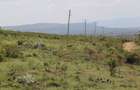 0.25 ac Residential Land at Nakuru - 10