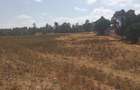 6.5 ac Land in Limuru - 3