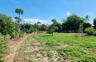 3 ac Land at Mtwapa - 4