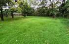 Commercial Property with Fibre Internet in Lavington - 4
