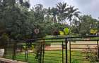 Residential Land at Kyuna Road - 1