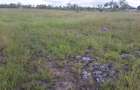 0.25 ac Land in Ongata Rongai - 3