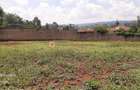 Residential Land at Runda Mumwe - 19